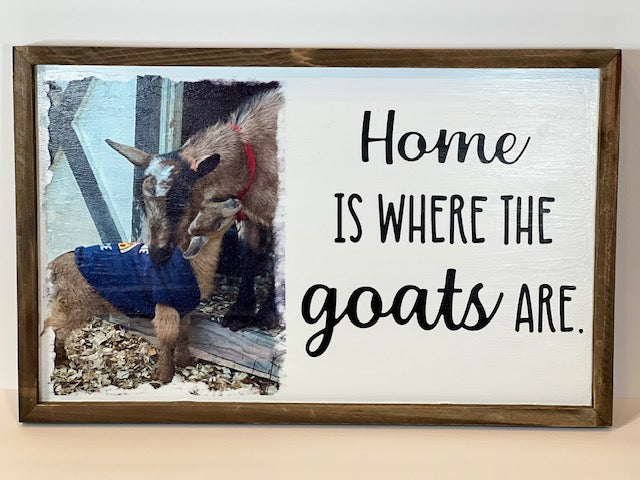 Home is where the goats are